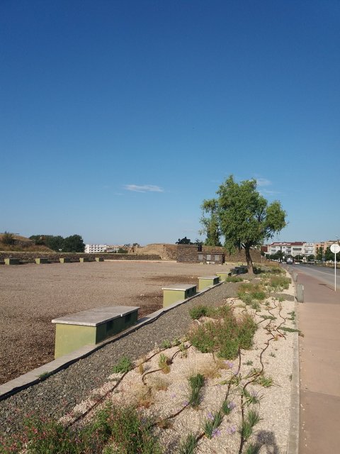 Substitució plantes parterre Ronda Circumval·lació