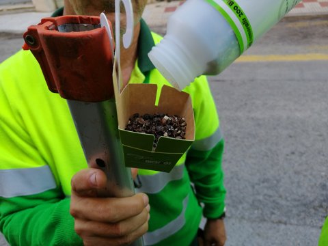 Implantación de nuevos sistemas ecológicos para combatir las plagas de los arboles de Roses