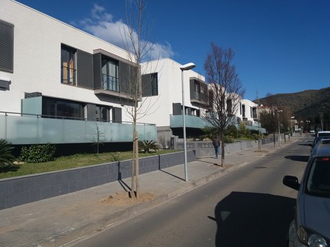 Reposición y plantación nuevo arbolado