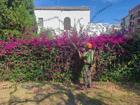 Roses incorpora un equipo de ALTEM al servicio de jardinería y recupera su compromiso social con la entidad.