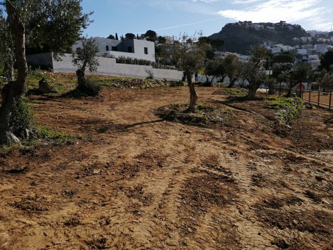 Adequació espai verd olivar Gran Via Pau Casals