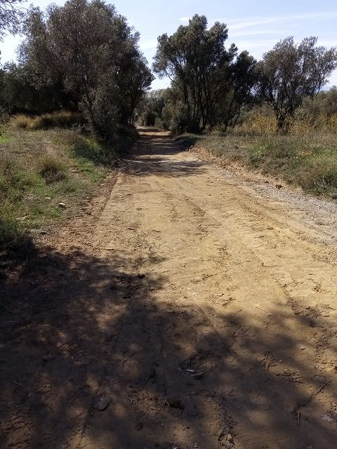 Arreglo de caminos forestales municipales