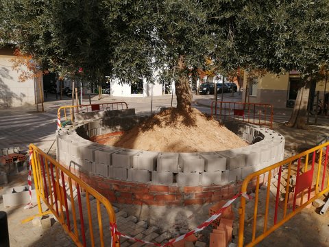 Millora de varis parterres a la plaça Empordà