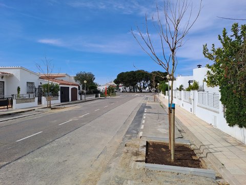 Reposición y nueva plantación de arbolado viario y en espacios verdes 2023