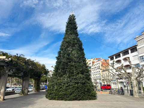 El 28 de novembre Roses posa llum al Nadal amb una decoració plena de sorpreses