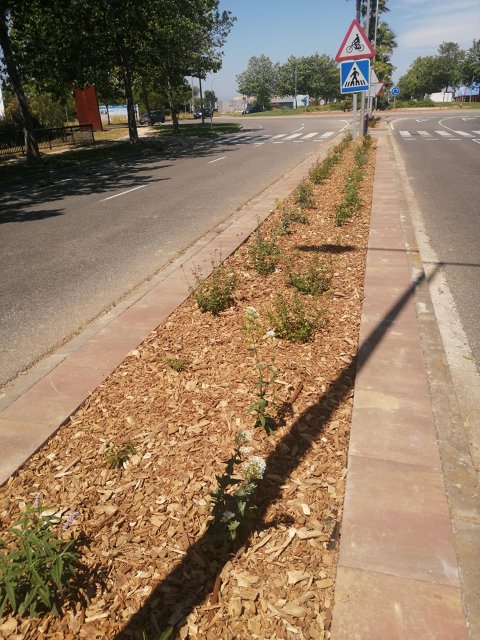 Millora de la jardineria d'un tram en la mitgera de la carretera C-260