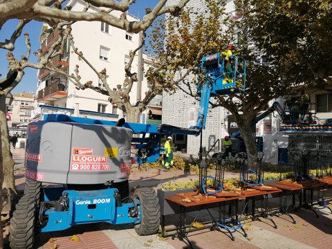 Roses inicia els treballs de poda d’arbrat urbà