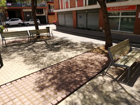 Mejora en los parterres de la plaza Josep Tarradellas