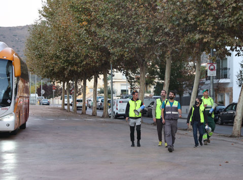 Roses inicia las actuaciones para ahuyentar los estorninos y reubicarlos fuera del casco urbano