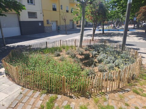 Reposición de plantas arbustivas en espacios verdes ajardinados